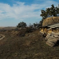 Многострадальная красота :: Георгий Шелест