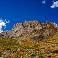В горах Малого Тибета, где есть растительность, заметно приближение осени. :: Victor Belimenko