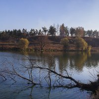 На осінньому озері :: Дмитрий Гончаренко 
