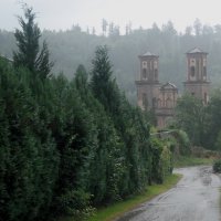 Дождь :: Евгения Кирильченко