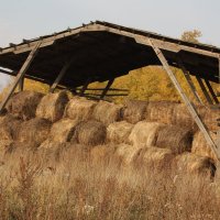 Этюд :: Владимир Холодницкий