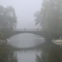туман в парке :: Владимир 