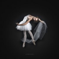 White Swan :: Дарья Гринчак