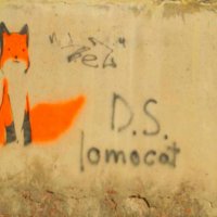 Street Art "fox" :: Аня Андрейчук