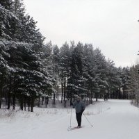 вставай на лыжи! :: Олег Петрушов