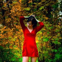 Lady in Red :: Николай Фролов