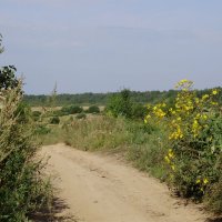 Дорога в деревне :: Светлана из Провинции
