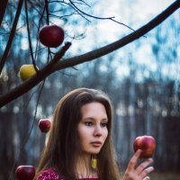 Девушка с яблоками :: Настенька Травкина