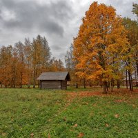 За околицей :: Евгений Никифоров