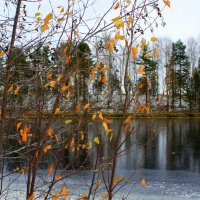 ОКТЯБРЬ В КАРЕЛИИ :: Николай Гренков