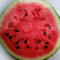 watermelon :: Надежда 
