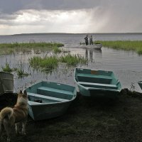 Дождался :: Владимир Иванов