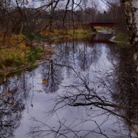 заброшенный мост... :: Ольга Cоломатина