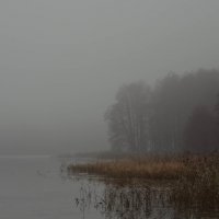 туман над  золотым озером :: Ирина Кулагина