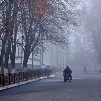 Когда же закончится этот туман..? :: Александр Бойко