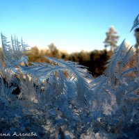 Чудеса зимы :: Марина Алгаева