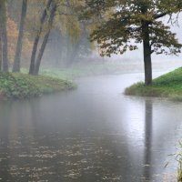Осенний дождь. :: Айвар Вилюмсон