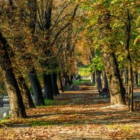 Осень во Львове :: Виктор 