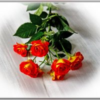 И брошены розы на стол..... :: Александр Лейкум