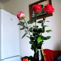 Розы :: ВАСИЛИЙ ГРИГОРЬЕВИЧ К.