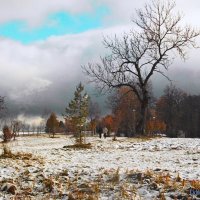 Поздняя осень :: Evgenij Schleinikov