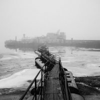 Туманный день :: Haris Garifov