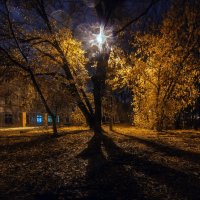 осень.вечер и дождь... :: Геннадий Свистов