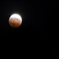 Лунное затмение :: Павел Заславский