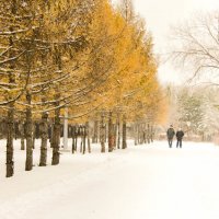 зимний парк :: Анжелика Бельц