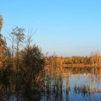 Времена года. Осень :: Галина Galina