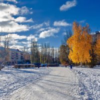 Осенне чудо выпавшего снега :: Елена Ворошина