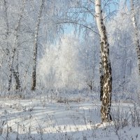 Поёт зима — аукает, Мохнатый лес баюкает. :: Kassen Kussulbaev