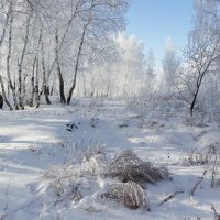 Зимний этюд. :: Kassen Kussulbaev