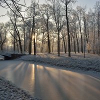 в Александровском парке морозным утром :: Владимир Фомин