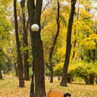Осень в парке :: Александр 