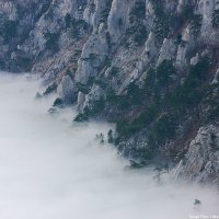 Туман :: Сергей Титов