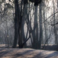 Ноябрь. Свет и тени :: Юрий Цыплятников