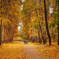Золотая осень в парке. :: Горбушина Нина 