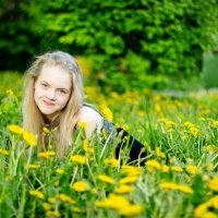 In the world of dandelions :: Анна Степанова