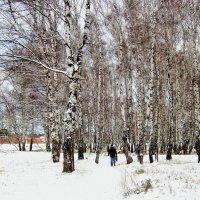 Зима. :: Мила Бовкун