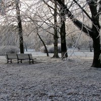 Уже не осень, но и не зима.... :: ТАТЬЯНА (tatik)