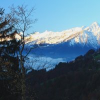 Швейцарские Альпы. :: Людмила Шнайдер