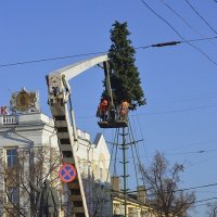 Сборка новогодней ели в Рязани3 :: Сергей Жданов