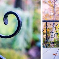 Осень в саду :: alena kiselyova 