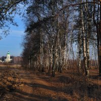 Поздняя осень... :: Виктор Берёзкин