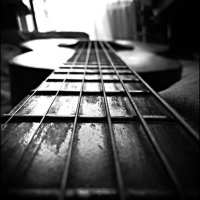 The Guitar :: Дмитрий Артемов