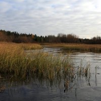 Осенний день. :: Galina S*