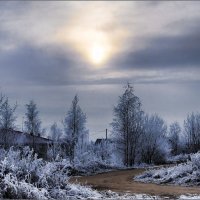 Мороз, а снега нет. :: Алексей Бажан