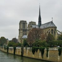 Notre Dame de Paris (3) :: Elena *