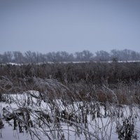 Зимний пейзаж :: Дарья Костенко